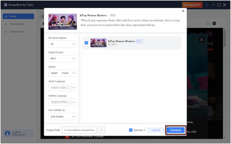 Download Netflix Show