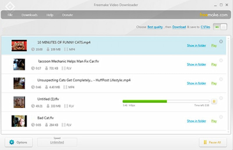 Freemake Video Downloader Interface