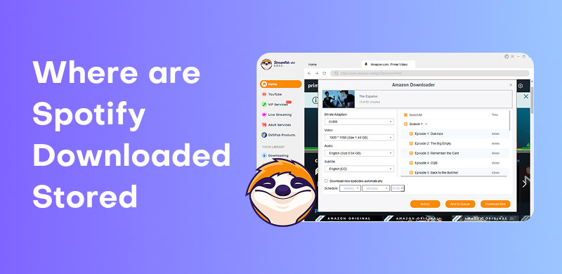 StreamFab Video Downloader Review