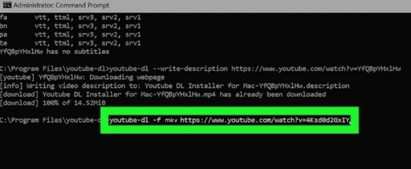 Plugins Youtube to MKV 