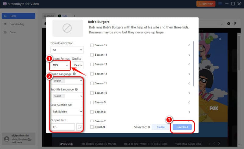 Output Settings Download Video Streambyte